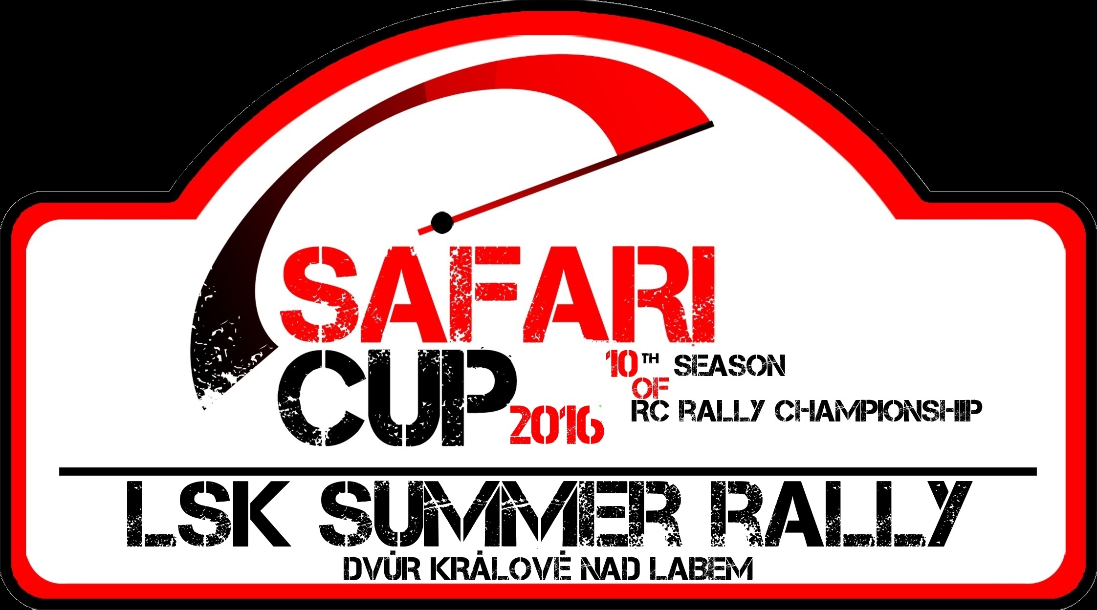 Rally TORINO 2016