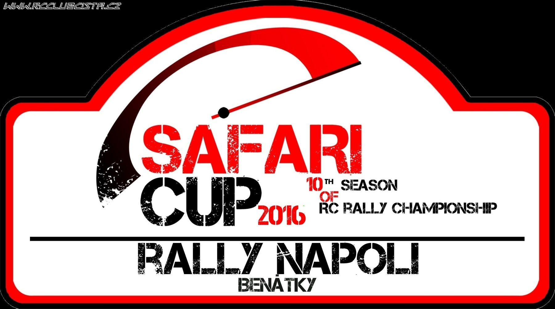 Rally TORINO 2016