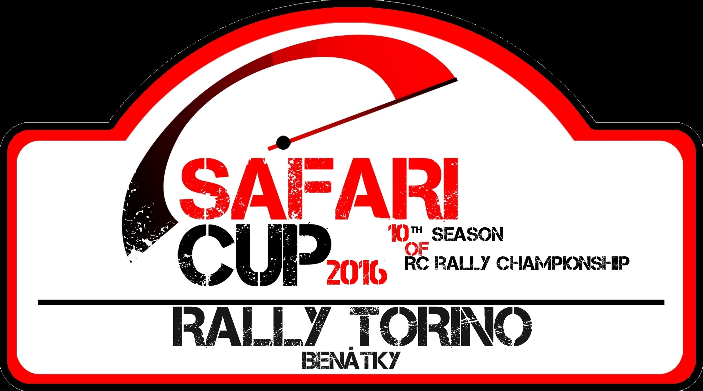 Rally TORINO 2016